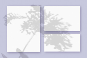 Mockup with plant shadows superimposed on 3 horizontal and vertical sheet of textured white paper on a violet table background