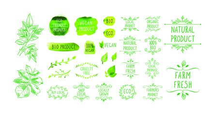 Vector hand drawn icons, natural product icons set isolated on white background, organic foods, healthy eating, hand drawn illustration, green leaves.
