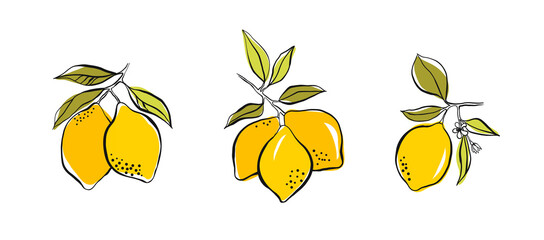 Set of lemon on a branch with green leaves. Hand drawing with ink and stains. Simple doodle of a lemon isolated on a white background. Fruit summer element for design