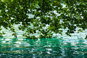 Beautiful landscape in the Plitvice Lakes National Park in Croatia