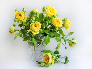 chic bouquet of yellow garden roses for the beloved on a white background