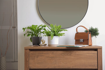 Beautiful potted ferns and accessories on wooden cabinet in hallway