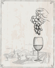 Wine poster with empty space for text and graphic illustration with man hand holding bunch of grapes