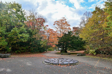 ちょうど見頃の紅葉に囲まれた大沼公園の広場の情景＠北海道