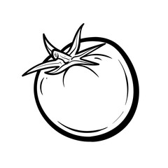hand drawn tomato. Organic eco food. Isolated on the white background. Vector black hand-drawn vintage engraving illustration for poster, label, menu, web.