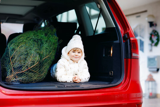Adorable little toddler girl with Christmas tree inside of family car. Happy healthy baby child in winter fashion clothes choosing and buying big Xmas tree for traditional celebration.