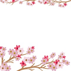 Obraz na płótnie Canvas pink sakura on white background