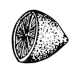 Half a lemon, vector illustration, hand drawing