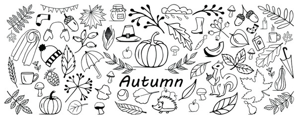 A set of hand-drawn vector fall elements. Includes plants, rye berries, acorns, mushrooms, oak and maple leaves, hips, squirrels, pine cones and twigs, mice and hedgehogs.