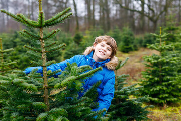 Adorable school kid boy with Christmas tree on fir tree cutting plantation . Happy child in winter fashion clothes choosing, cut and felling own xmas tree in forest, family tradition in Germany