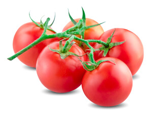 Tomato. Tomato branch. Tomatoes isolated on white. With clipping path. Full depth of field.