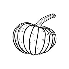 hand drawn pumpkin and ink. Scary greeting card and invitation party poster. Modern illustration concept. single element, icon, sticker, poster card. vegetable harvest autumn Halloween thanksgiving