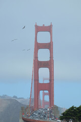 Views of the Golden Gate Bridge on a day with low clouds from Fort Point, San Francisco. California, USA