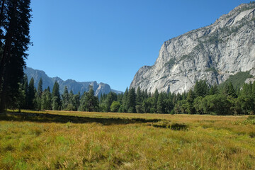 Yosemite Valley Landscape of meadows, pines and granite mountain peaks, California, USA