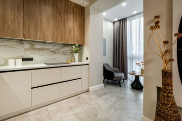 Interior of the modern luxure kitchen  in studio apartments in minimalistic style with light and wooden color