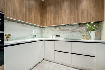 Interior of the modern luxure kitchen  in studio apartments in minimalistic style with light and wooden color