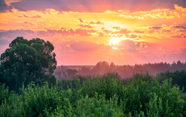 Colorful sunrise in rural with a sun shining above treetops. Lush vegetation, clouds colored red, yellow, orange. Scenic view, travel, admiring, tourism, countryside beauty, sunrises and sunsets.