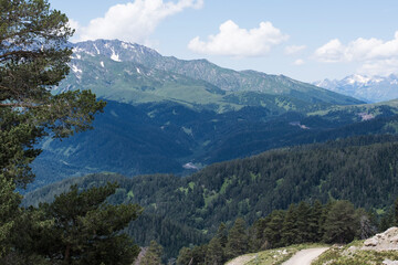 Fototapeta na wymiar Mountain landscape. The Caucasus Mountains are surrounded by pine trees.