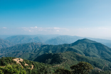 forest mountain and blue sky