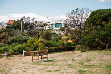 bench lonely in park