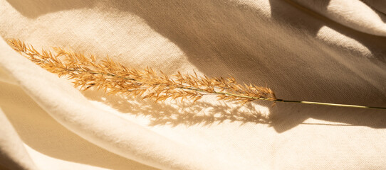 beige neutral colored textile, linen fabric with decor dry pampas grass. banner