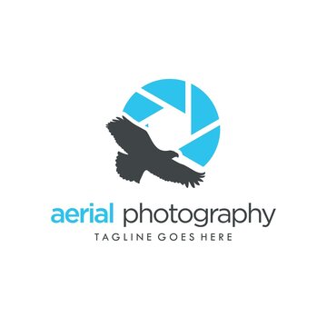 Aerial Photography Eagle Silhouette Logo Design