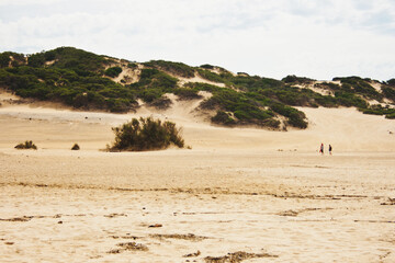 Solhouettes of people in sand dunes in the desert