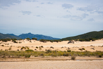 landscape in the desert with mountains