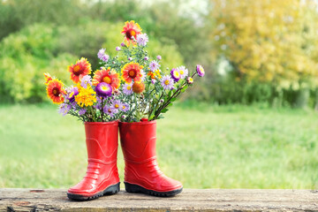 Summer flowers in red rubber boots on natural garden background. harvesting, summer season concept. rustic composition