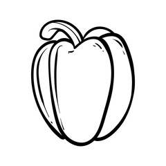 pepper. Vector illustration of sweet pepper. Hand-drawn pepper. Sketch paprika. pepper line art