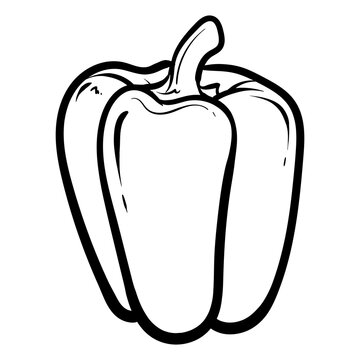 pepper. Vector illustration of sweet pepper. Hand-drawn pepper. Sketch paprika. pepper line art