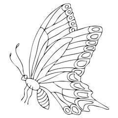 Isolated black and white butterfly on a white background. Vector illustration.
