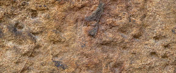 texture of nature stone - grunge stone surface background