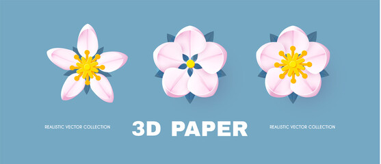 Paper flowercollection. Cute and soft blossom design.