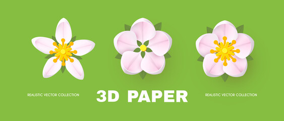 Paper flowercollection. Cute and soft blossom design.
