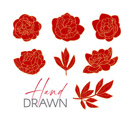 Hand drawn peony flowers collection. Elegant blossom set