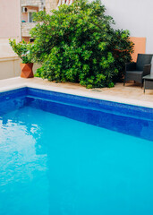 View of the pool and ornamental plants