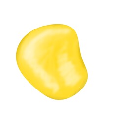 Corn seed isolated on white background