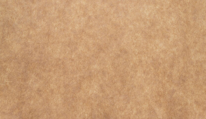 Fototapeta na wymiar old brown grunge paper isolated on white background 