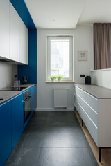 Fototapeta na wymiar Modern and narrow kitchen with window