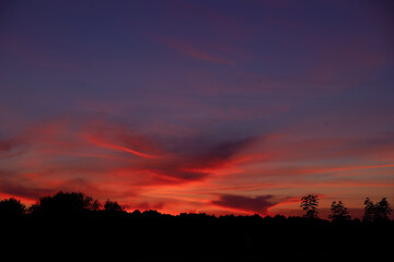 Dramatic red sunset against a blue sky with clouds over the forest. Beautiful cloudscape background. Dusk and dawn concept 