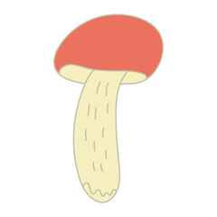Red-cap boletus mushroom. Hand drawn doodle vector illustration with color outline isolated on white background. 