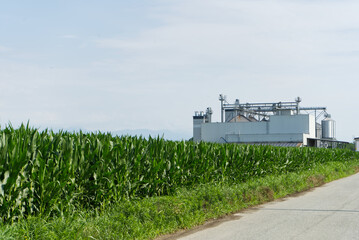 Impianto di stoccaggio del mais