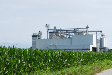 Fototapeta premium Impianto di stoccaggio di mais in silos