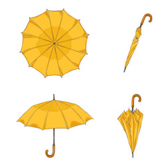 Vector Set of Cartoon Umbrellas. Different View and Variation.