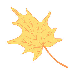 Yellow maple leaf. Hand drawn  vector illustration with color outline isolated on white background.	