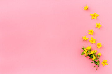 Obraz na płótnie Canvas Flowers composition of wild spring yallow flowers, top view