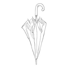 Vector Sketch Folded Umbrella Illustration