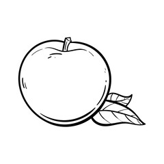 Vector Line Art Apple Fruit. hand drawn Apple fruit vector. Isolated fruit silhouette in cartoon style. Fruit pictogram for coloring page