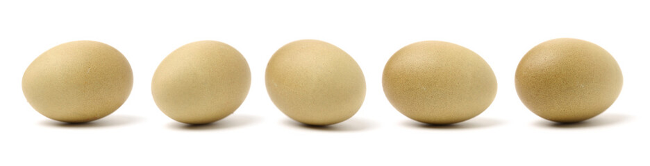 egg isolated on white background 